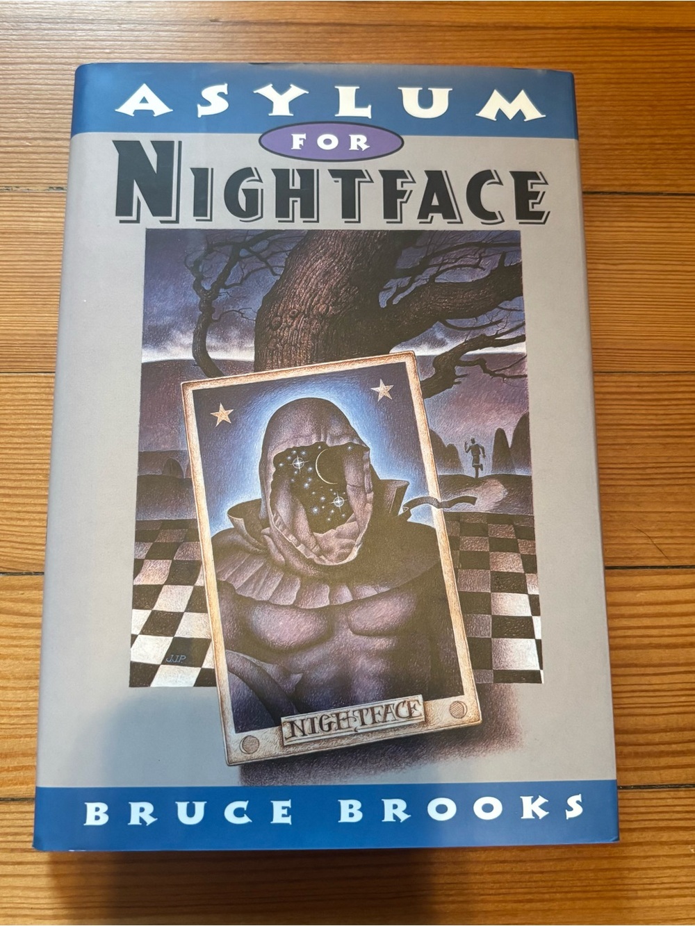 Asylum for Nightface by Bruce Brooks Hardcover Book